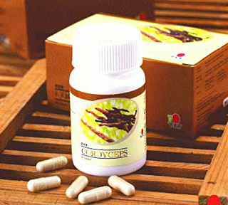 Cordyceps ( 120 pcs) Cordyceps ( 120 pcs)