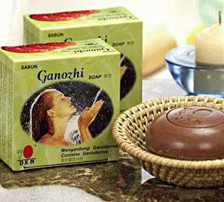 Ganozhi Soap (a pair) Ganozhi Soap (a pair)