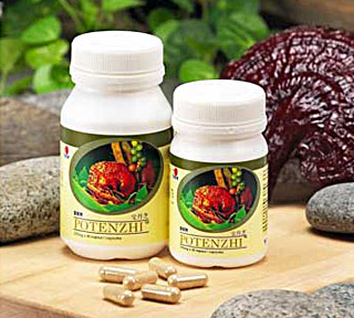 Potenzhi (90 pcs) Potenzhi (90 pcs)