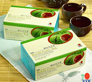 Reishi Gano Tea