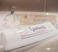 Travel Pack Toothpaste Travel Pack Toothpaste